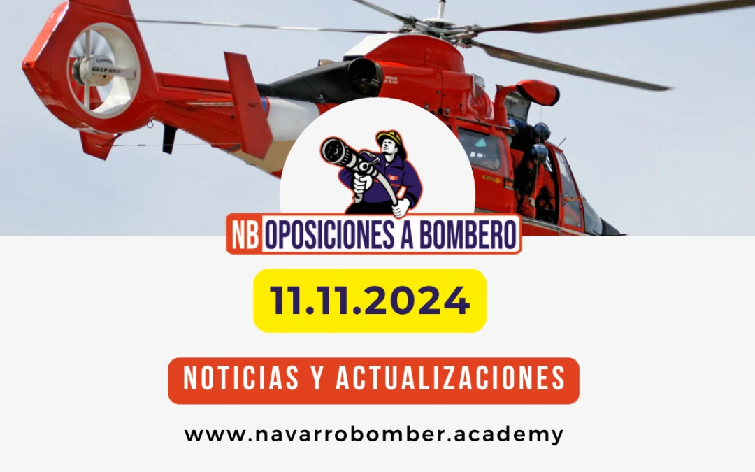 Noticias y Actualizaciones 11.11.2024